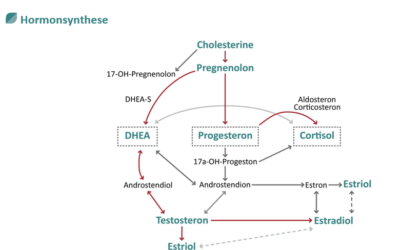 Hormonungleichgewicht oder hohes Cholersterin?