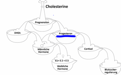 Hormone und Rückenschmerzen
