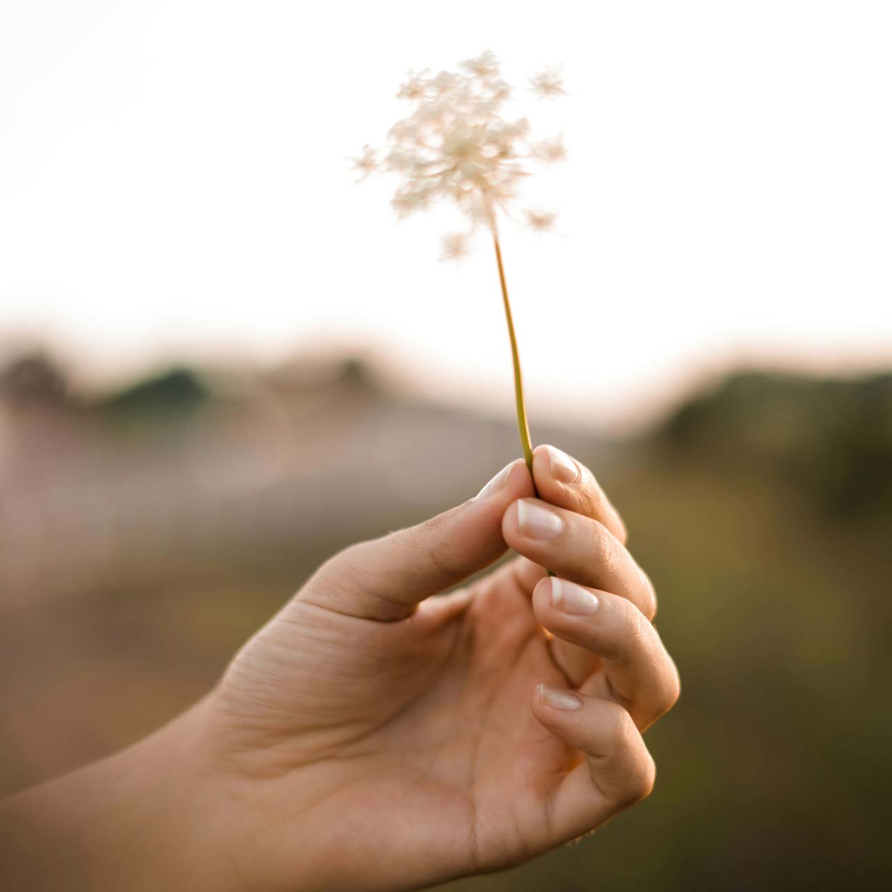 jessica-da-rosa-bOfUo9UmR6s-unsplash_LAY yoga-instructor_97